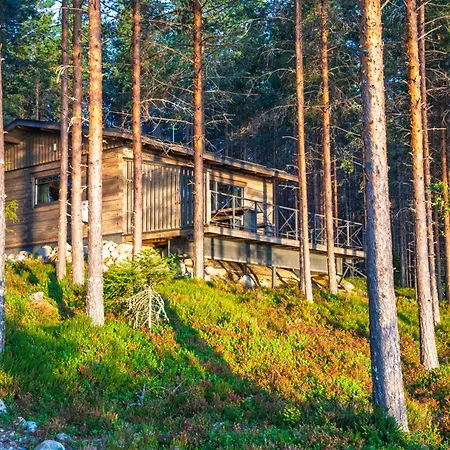 Ukkoteeri *
